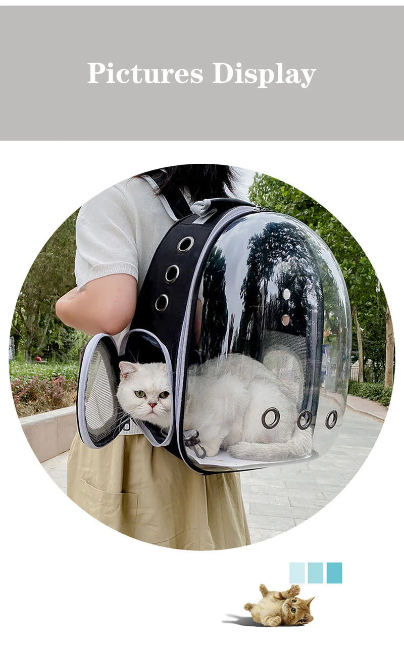 Bolsa de transporte para gatos, bolsa de ombro para animais de estimação ao ar livre, mochila respirável, bolsa transparente de viagem para cães e gatos pequenos