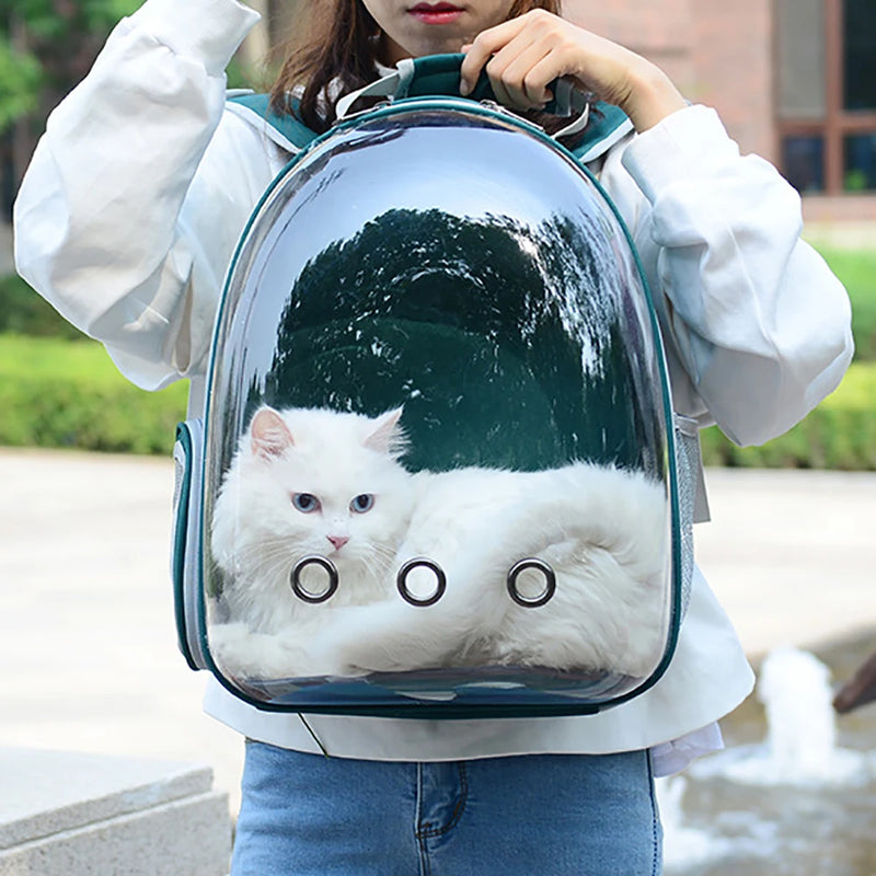 Bolsa de transporte para gatos, bolsa de ombro para animais de estimação ao ar livre, mochila respirável, bolsa transparente de viagem para cães e gatos pequenos