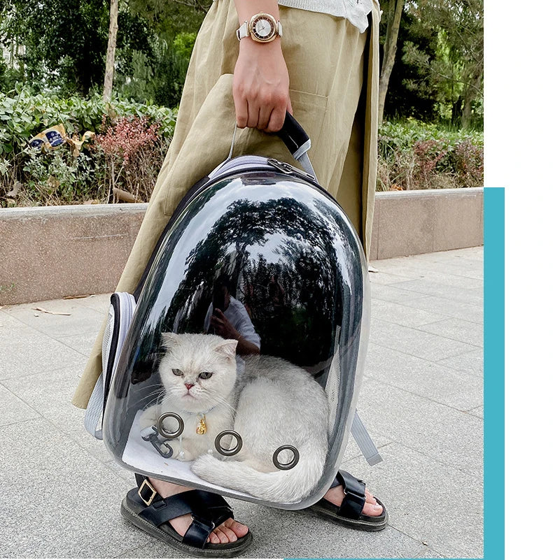 Bolsa de transporte para gatos, bolsa de ombro para animais de estimação ao ar livre, mochila respirável, bolsa transparente de viagem para cães e gatos pequenos