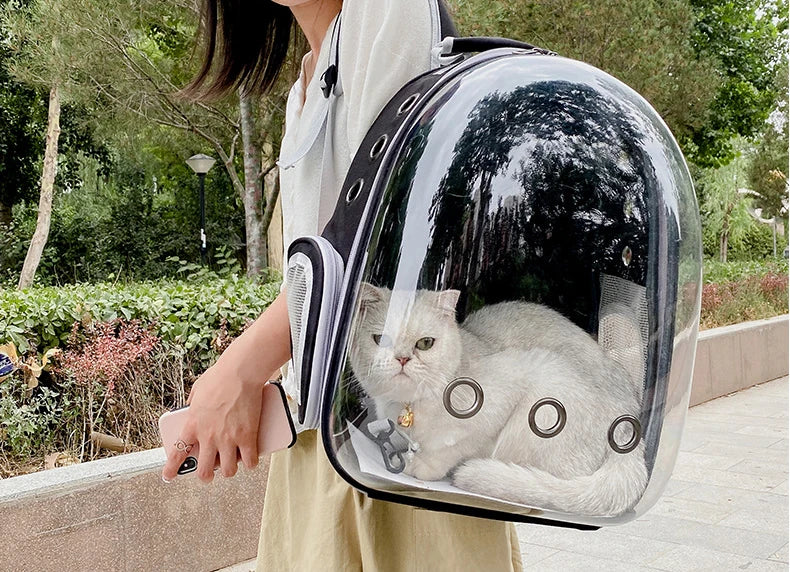 Bolsa de transporte para gatos, bolsa de ombro para animais de estimação ao ar livre, mochila respirável, bolsa transparente de viagem para cães e gatos pequenos