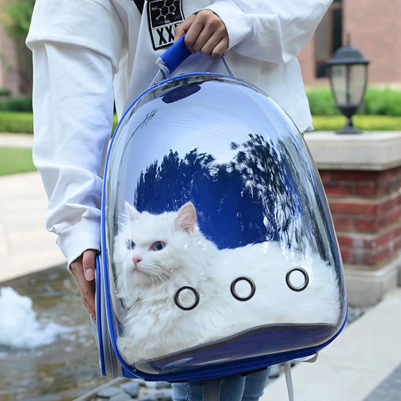 Bolsa de transporte para gatos, bolsa de ombro para animais de estimação ao ar livre, mochila respirável, bolsa transparente de viagem para cães e gatos pequenos