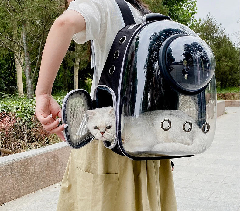 Bolsa de transporte para gatos, bolsa de ombro para animais de estimação ao ar livre, mochila respirável, bolsa transparente de viagem para cães e gatos pequenos